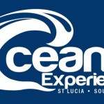 ocean experience whale watching st lucia