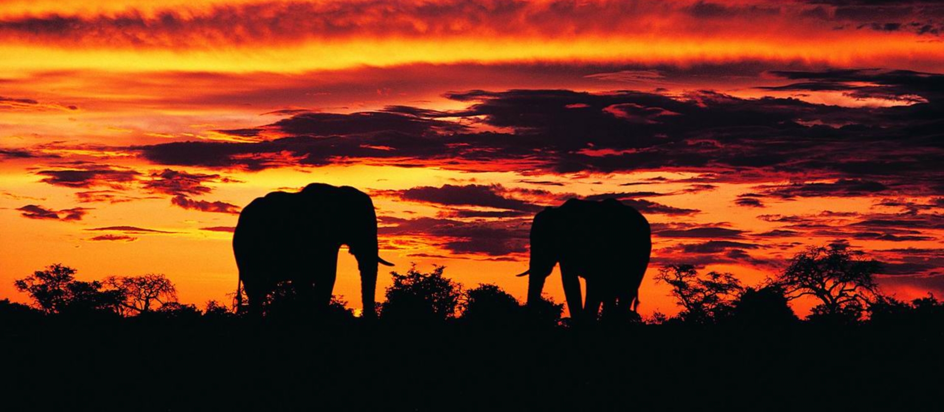 night-drive-safari-heritage-tours-and-safaris