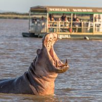 7 day exclusive south africa safari package