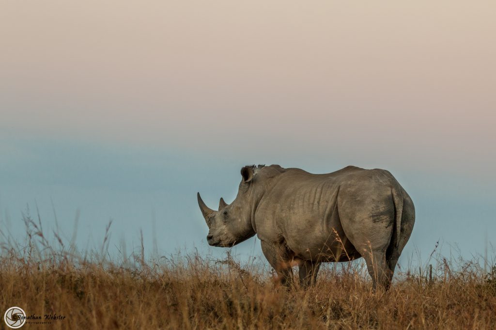 heritage tours & safaris zululand packages