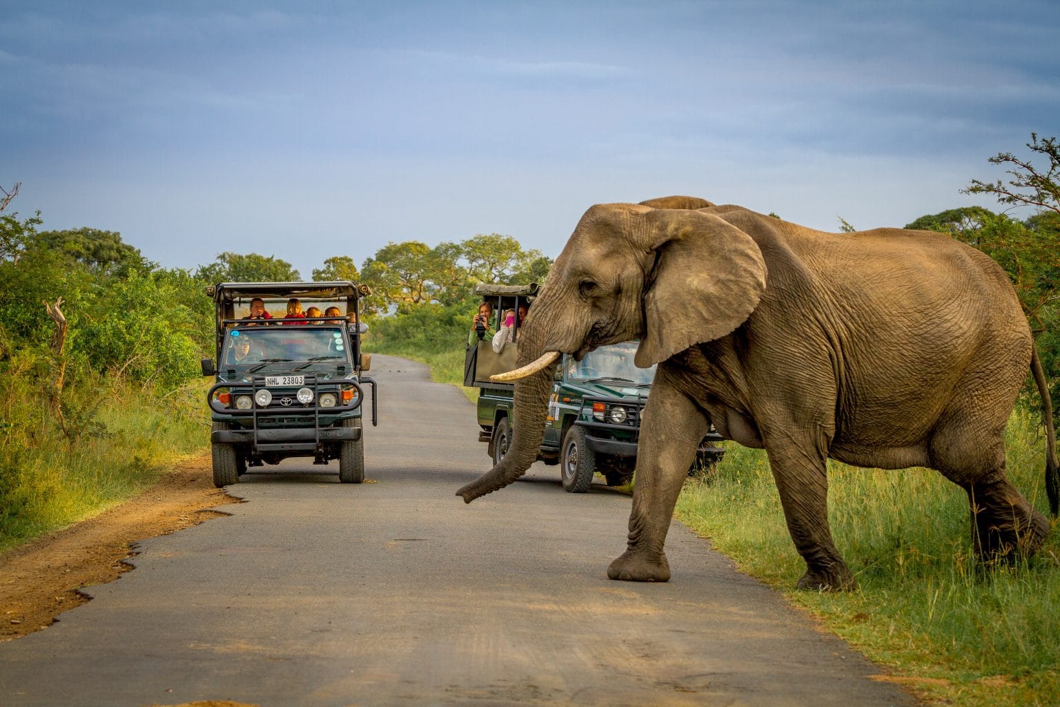 Hluhluwe Umfolozi Day Safari Options
