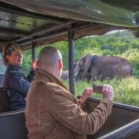 Hluhluwe Safari Packages