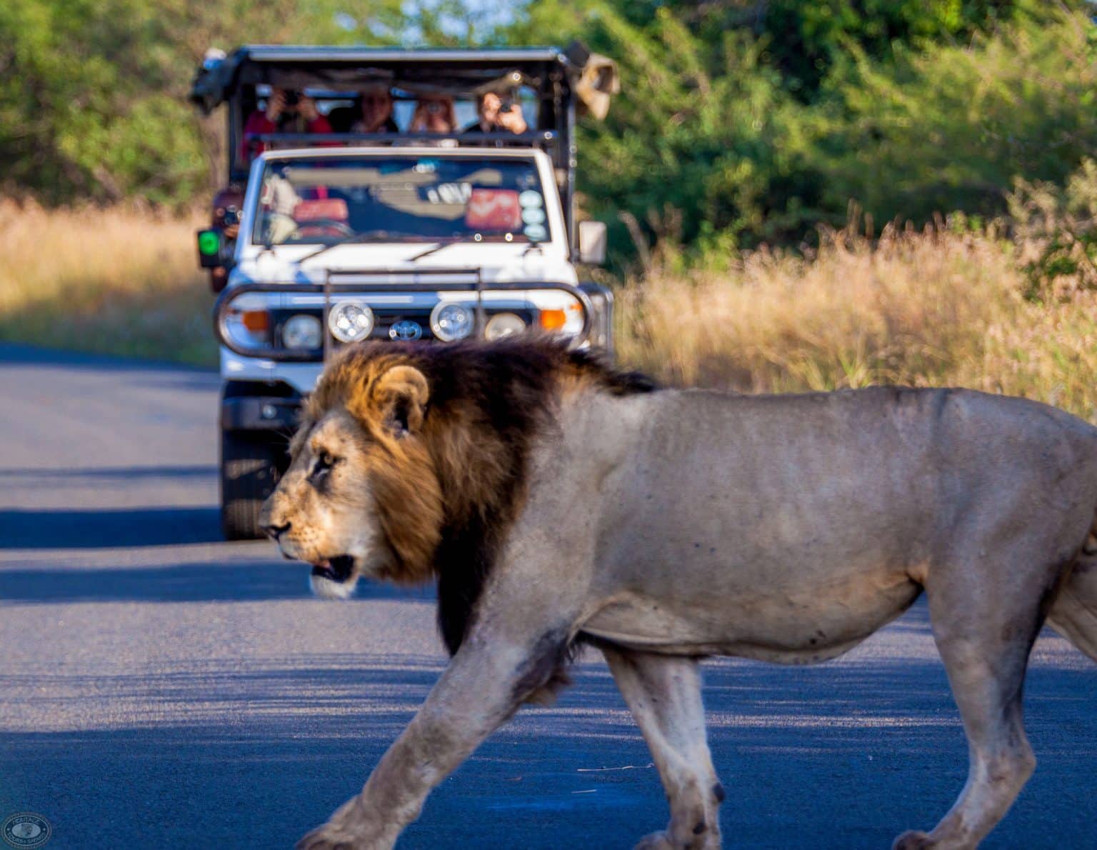 six on safari hluhluwe-imfolozi park kwazulu natal south africa