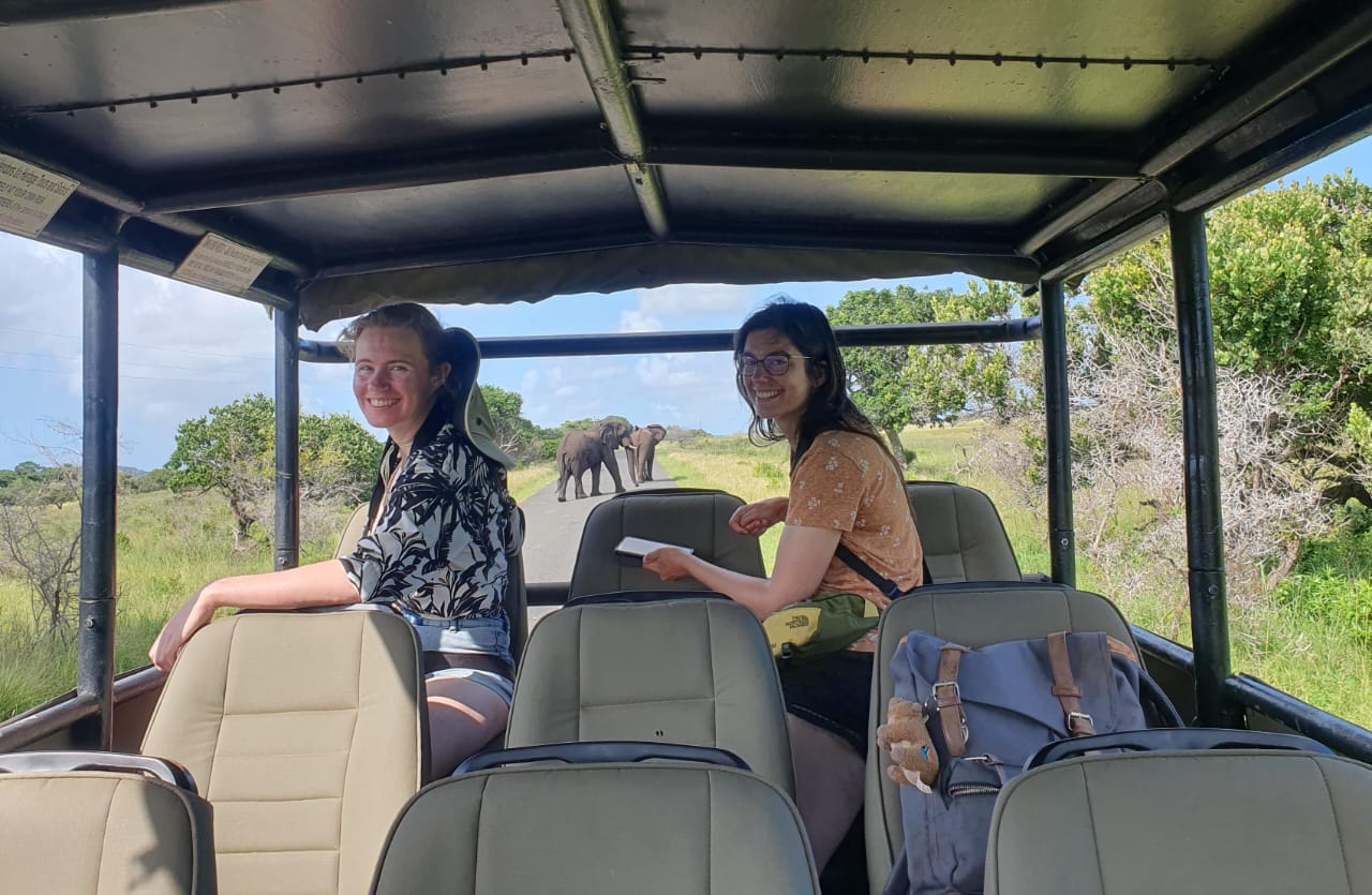 elephant sighting on full day hluhluwe umfolozi park safari