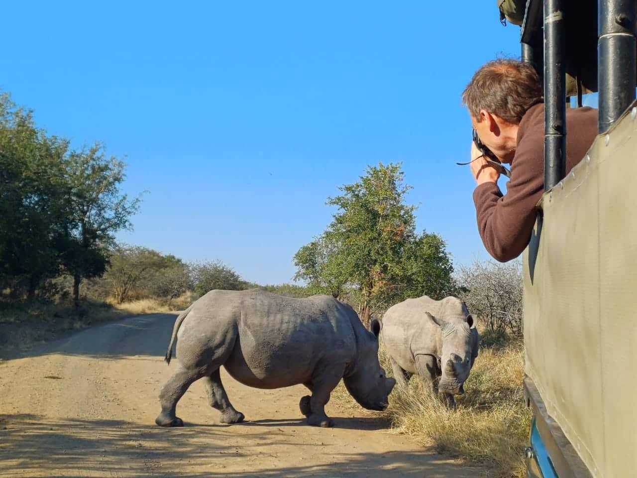 st lucia tours & safaris st lucia tours & safaris