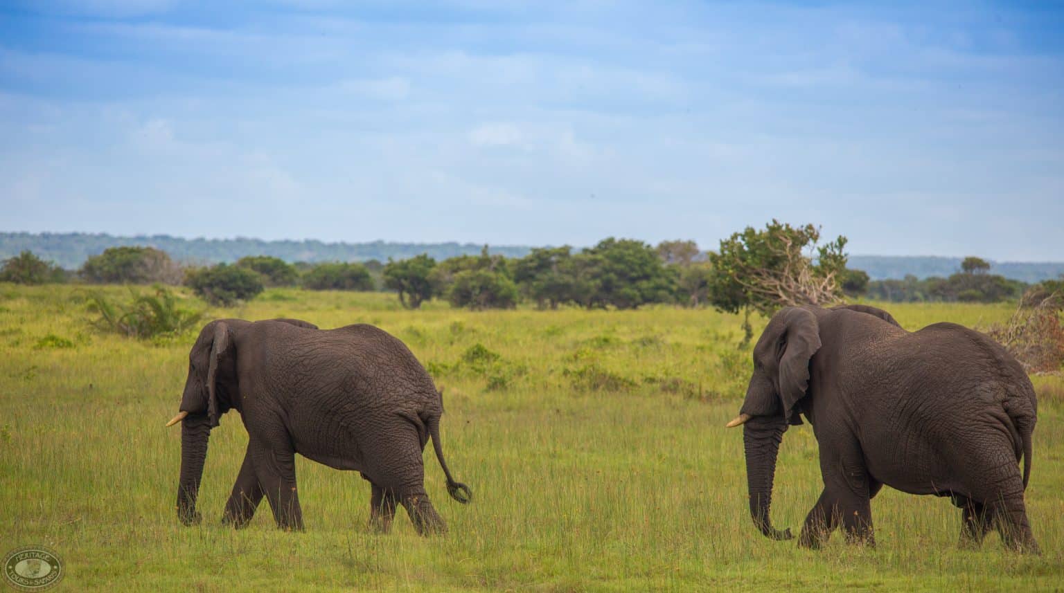 kruger national park south africa