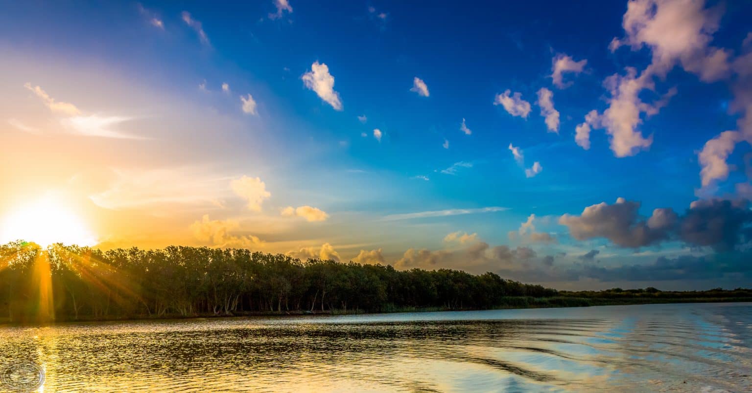 iSimangaliso Wetland Park Activities Your Complete 2026 Guide