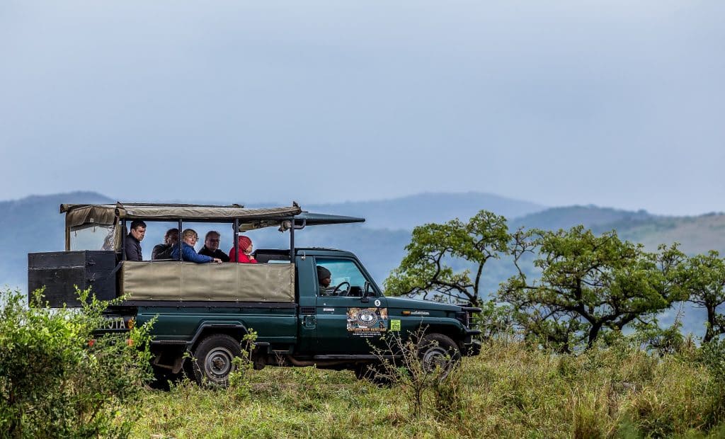 six on safari vehicle layout